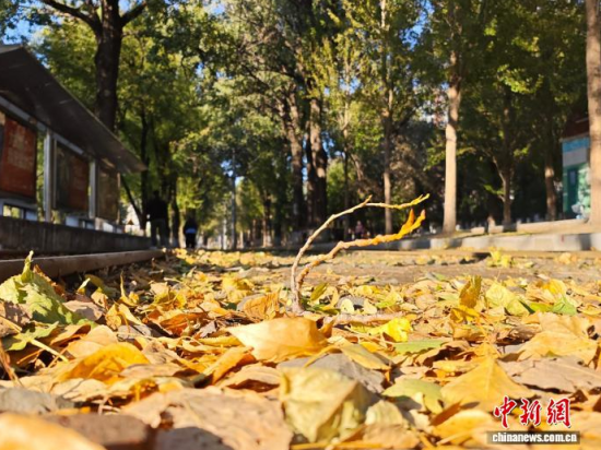 �S��54·��܉�܇(ch��)�ؾ��h(hu��n)��������������߅�L(f��ng)ò������(j��)�����S���~䁝M(m��n)·�������� ���z