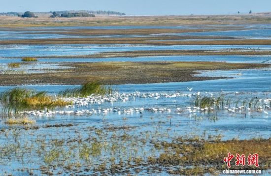 10��16��������ĪĪ���(gu��)�Ҽ�(j��)��Ȼ���o(h��)�^(q��)��(n��i)�������ڑ�ˮ��(�o(w��)�˙C(j��)��Ƭ)�w��� �z