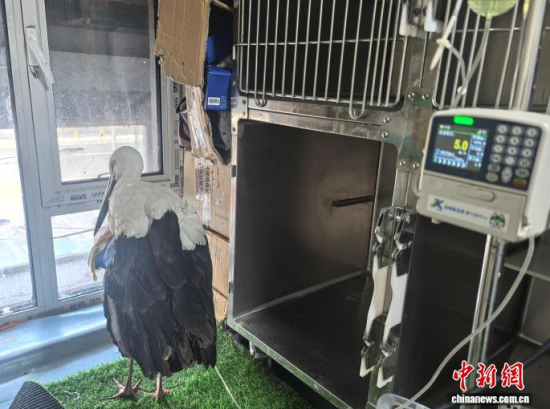 �܂��Ė|�����X���ڽ���ݔҺ�ί�����ʯ���� �z