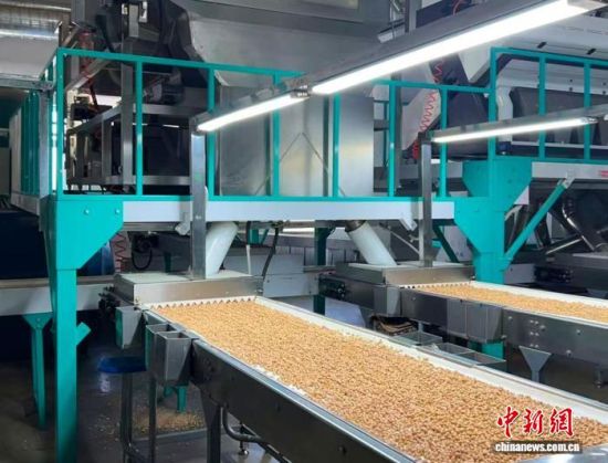 �������a(ch��n)����(�L�����P(gu��n)���D)