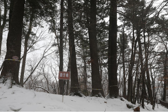 �ķ��������ڵ��� �������ý�w���Ĺ��D