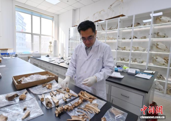 3��20���������L�����̴�������ӱ��������� �z