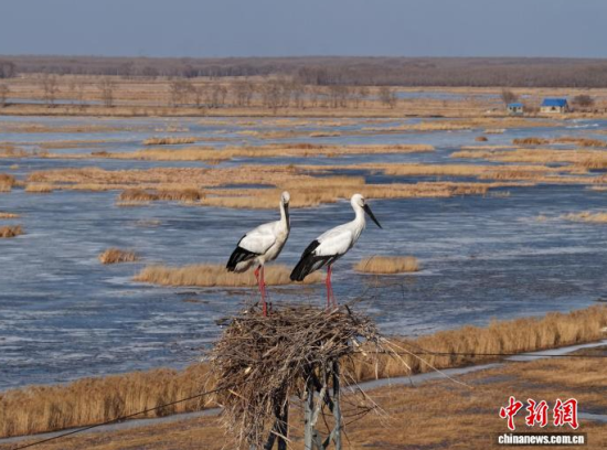 3��16���������(zh��n)�l��һ���|�����X��ĪĪ���صĳ����������������� �z