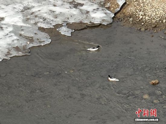 ���A��ɳ���ڼtʯ�օ^(q��)ˮ����������L��ɽɭ�����F�tʯ�֘I(y��)���޹�˾���D