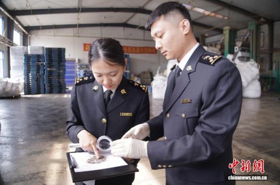 �L��ɽ���P(gu��n)�P(gu��n)�T�_չ�����K�Ѳ��(y��n)���L�����P(gu��n)���D